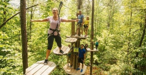 Image of Go Ape at Oak Point Park