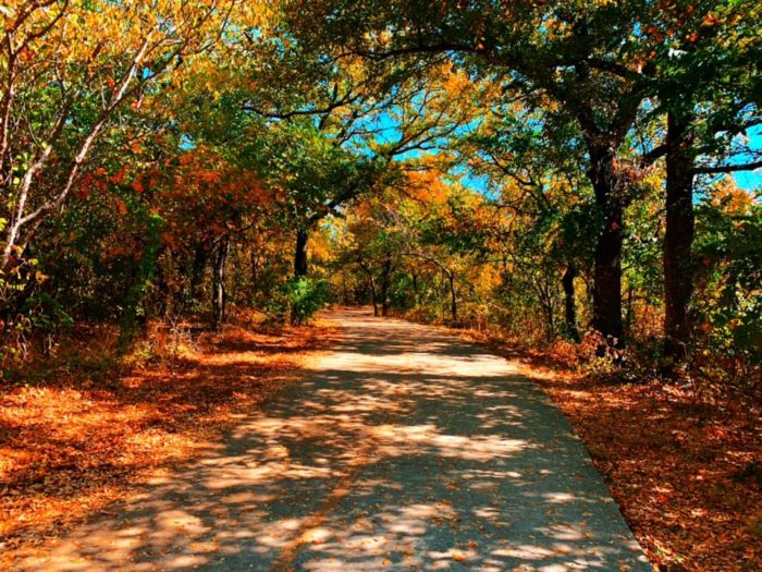 Family Friendly Plano Bucket List - fall foliage