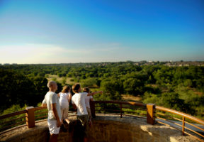 Image of Arbor Hills Nature Preserve