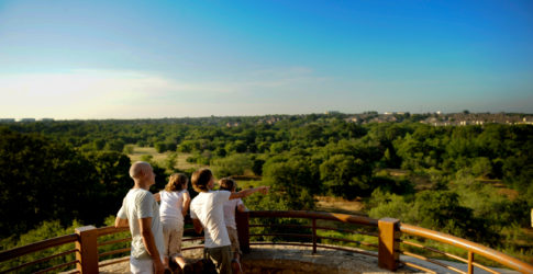 Image of Arbor Hills Nature Preserve