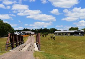 Image of Collin County Farm Museum