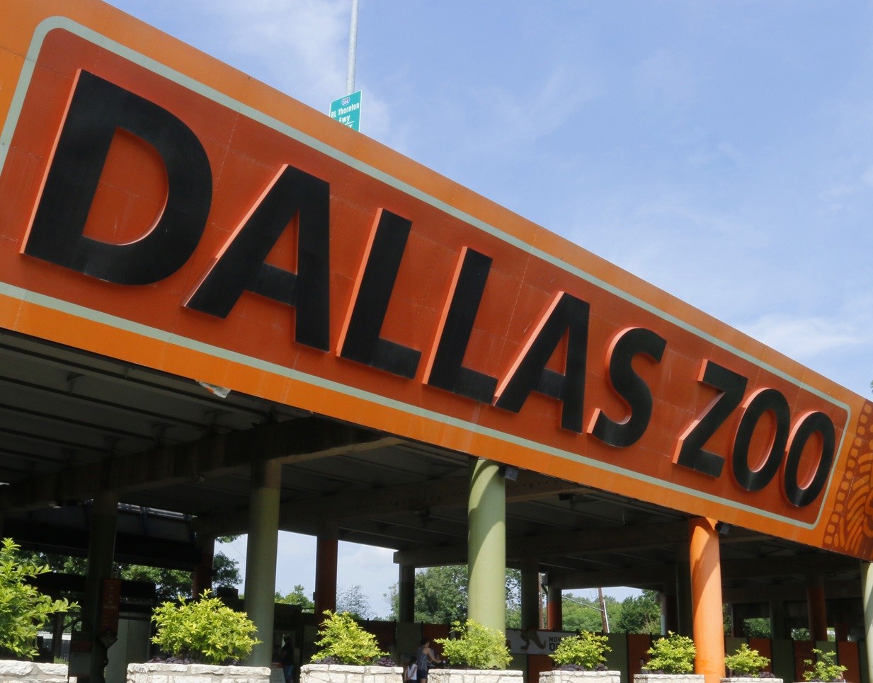 Dallas Zoo Visit Plano