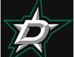 Afbeelding van Dallas Stars Hockey