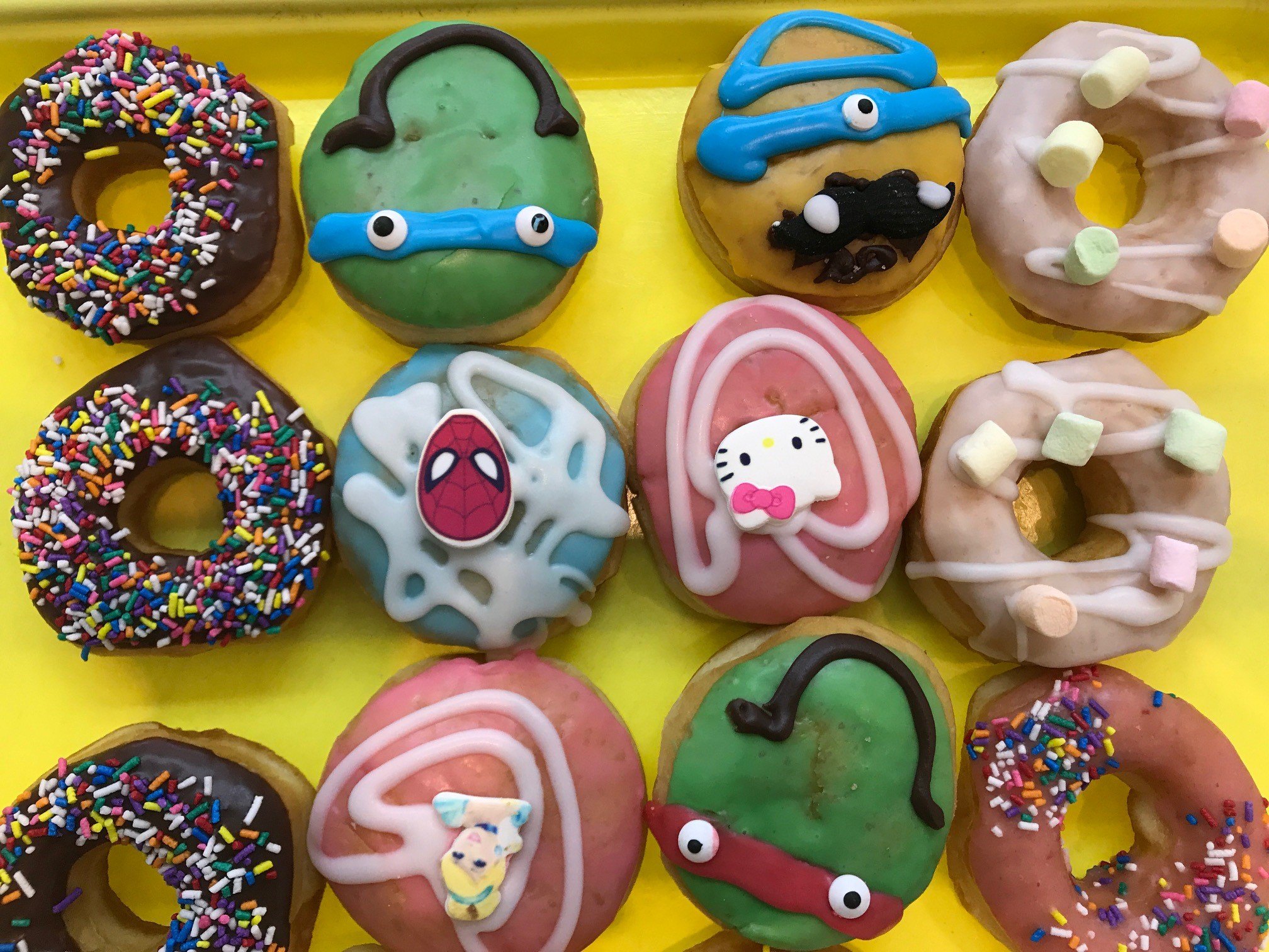 Donut Lovers Visit Plano