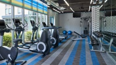 Modern gym at Aloft Plano with exercise bikes, treadmills, free weights, and blue yoga balls. Large windows let in natural light while blue-striped flooring and patterned walls create a bright, contemporary space.
