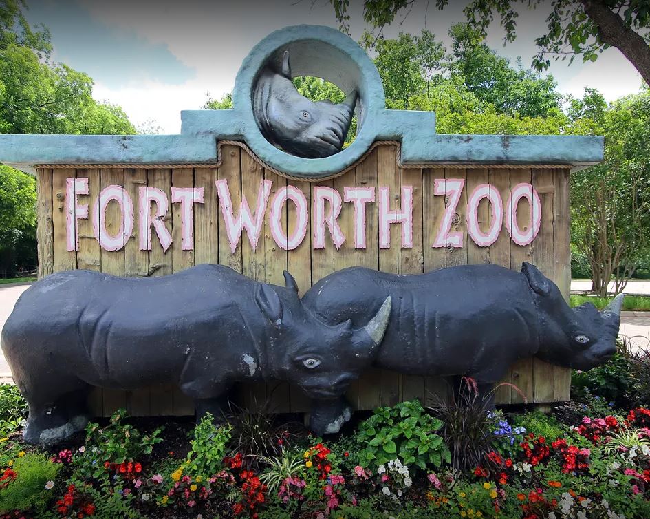 Fort Worth Zoo Visit Plano