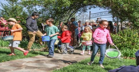 Image of Easter 2017 Brunch and Events in Plano