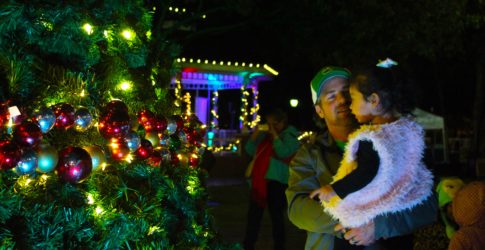 Image of Plano Holiday Traditions