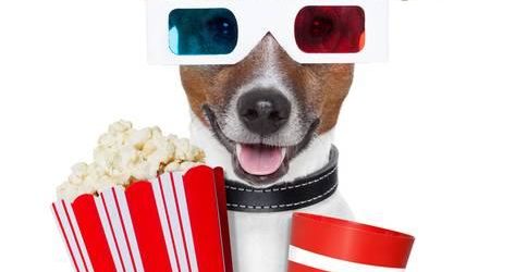 Image of K9 Cinemas Dog Friendly Movie Theater in Plano