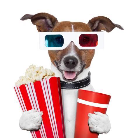 K9 Cinemas - Plano