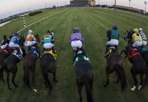 Image of Lone Star Park