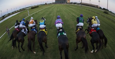 Lone Star Park Image of Lone Star Park