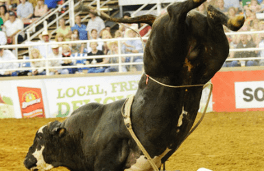 Image of Mesquite Championship Rodeo and Exhibit Hall