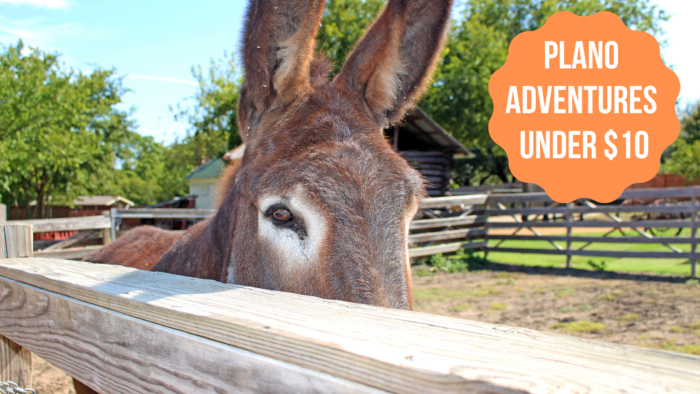 Plano Adventures Under $10