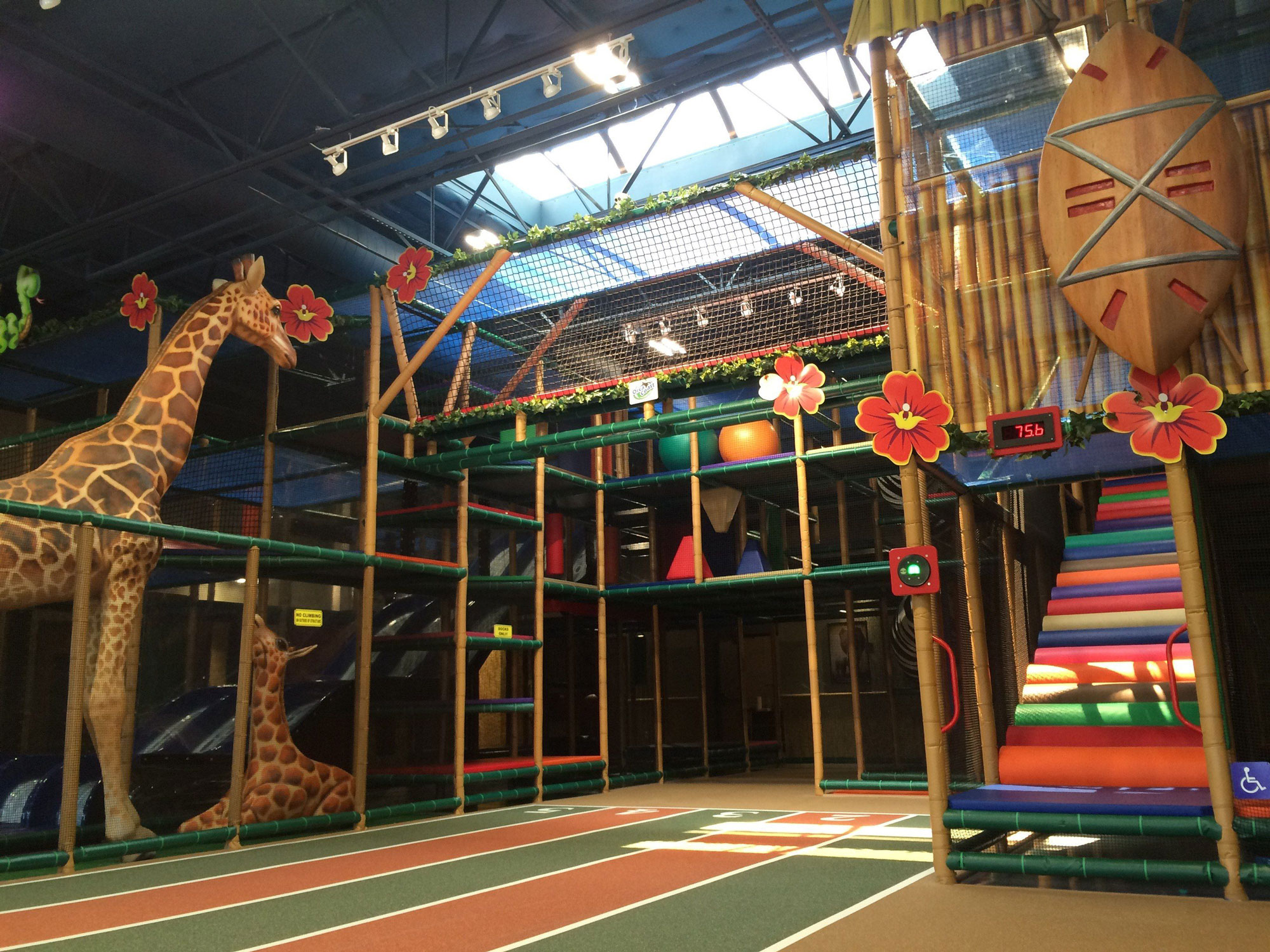 Safari Run Visit Plano