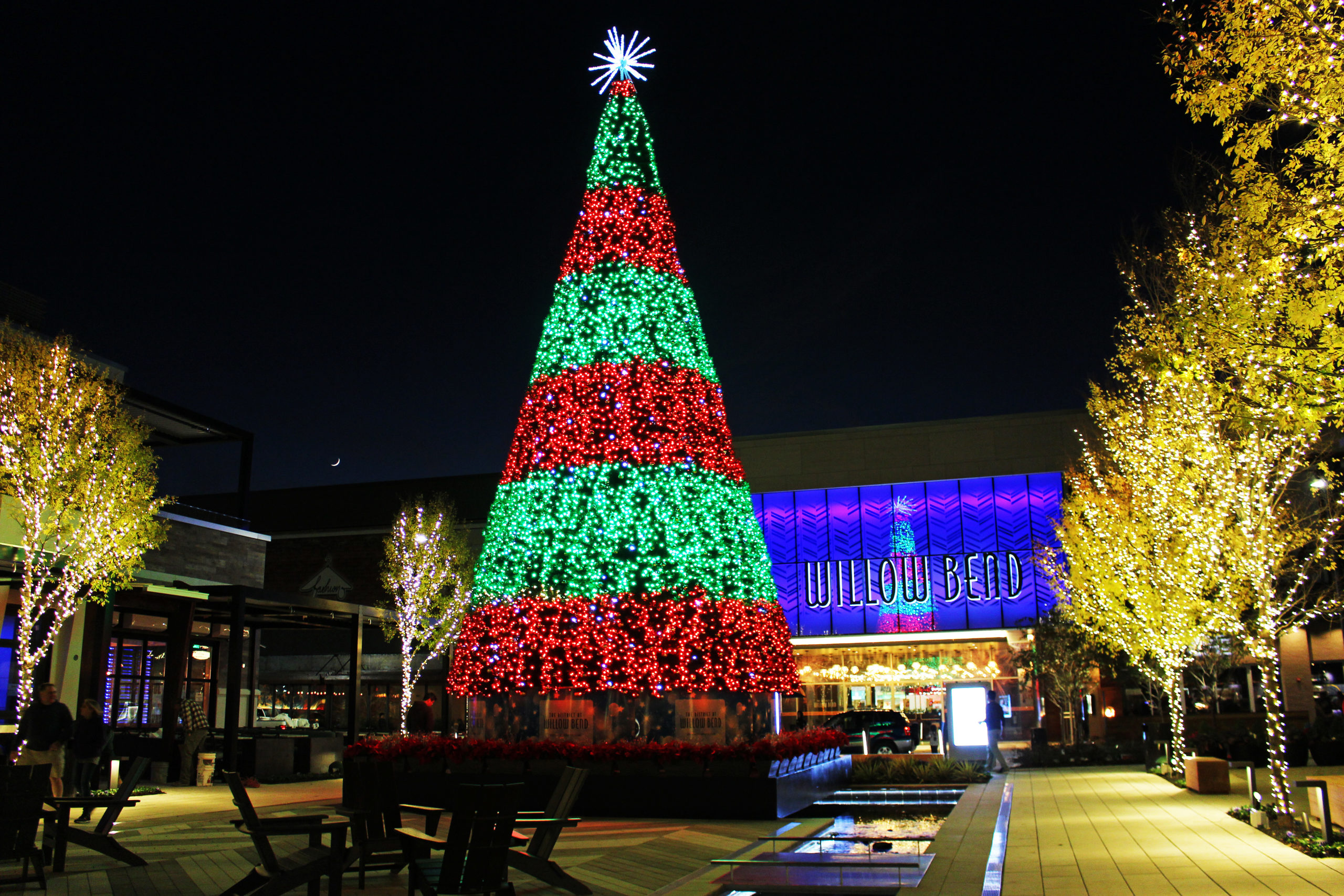 The District animated Christmas tree