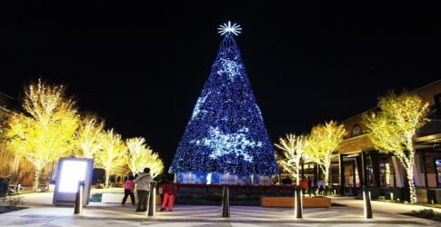 Image of Plano Holiday Lights
