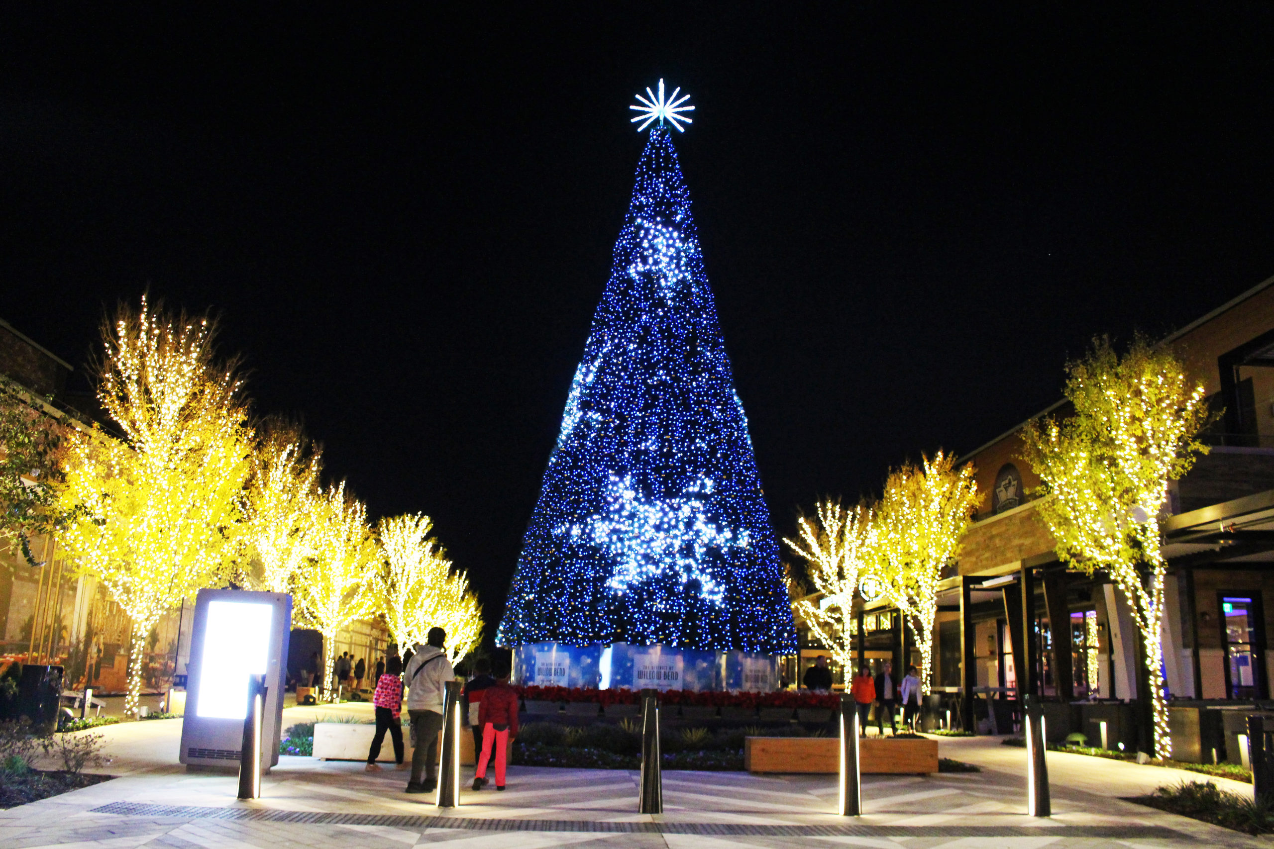 The District animated Christmas tree