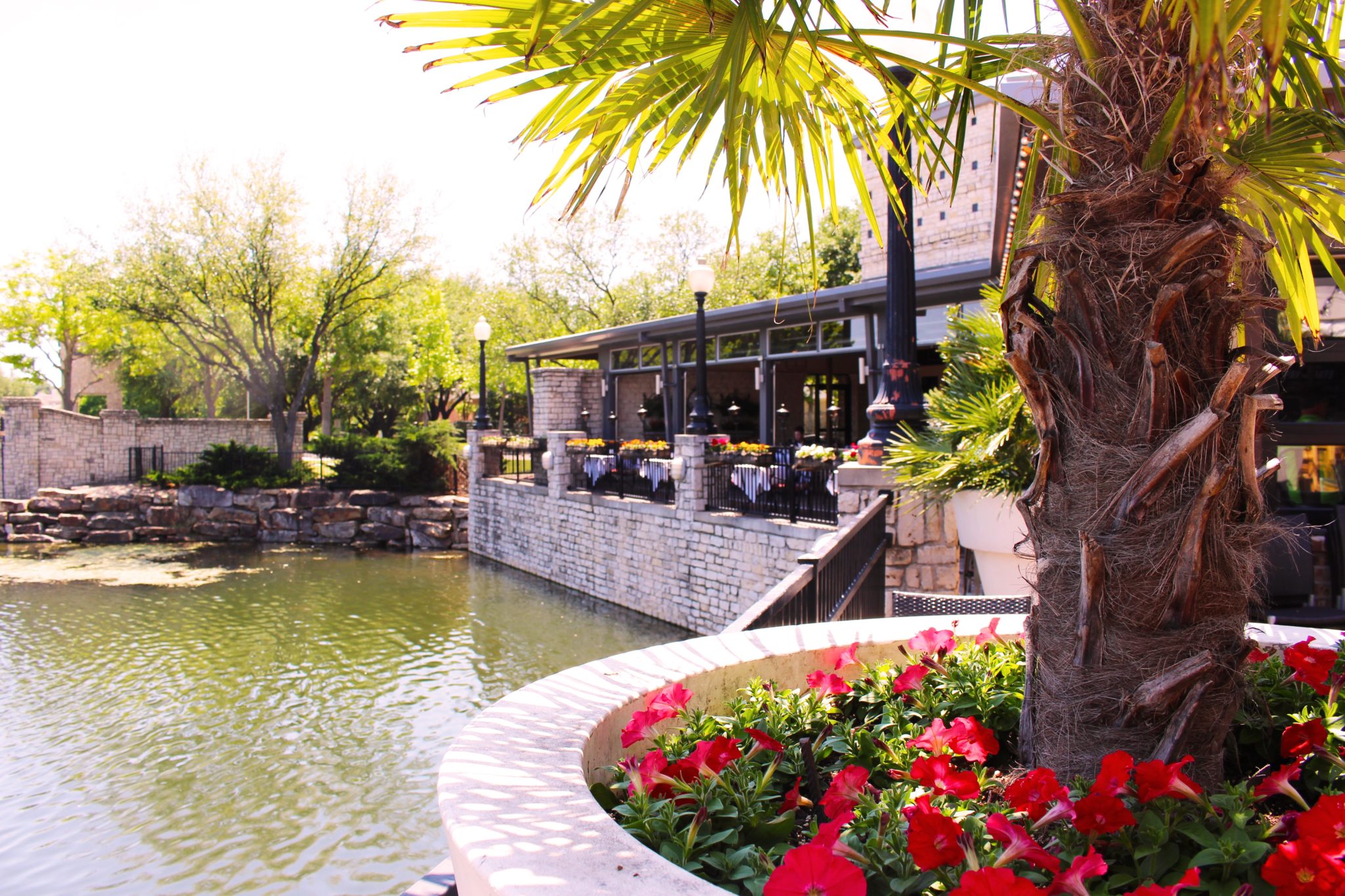 Patio Dining in Plano Plano Insider
