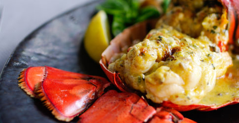 Image of Red Lobster