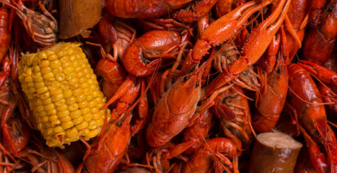 Image of Bear Bay Seafood Kitchen