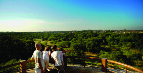 Image of Discover the Best Parks in Plano: A Gateway to Outdoor Adventure