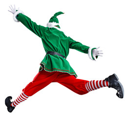 ELF Adobe Stock Photo