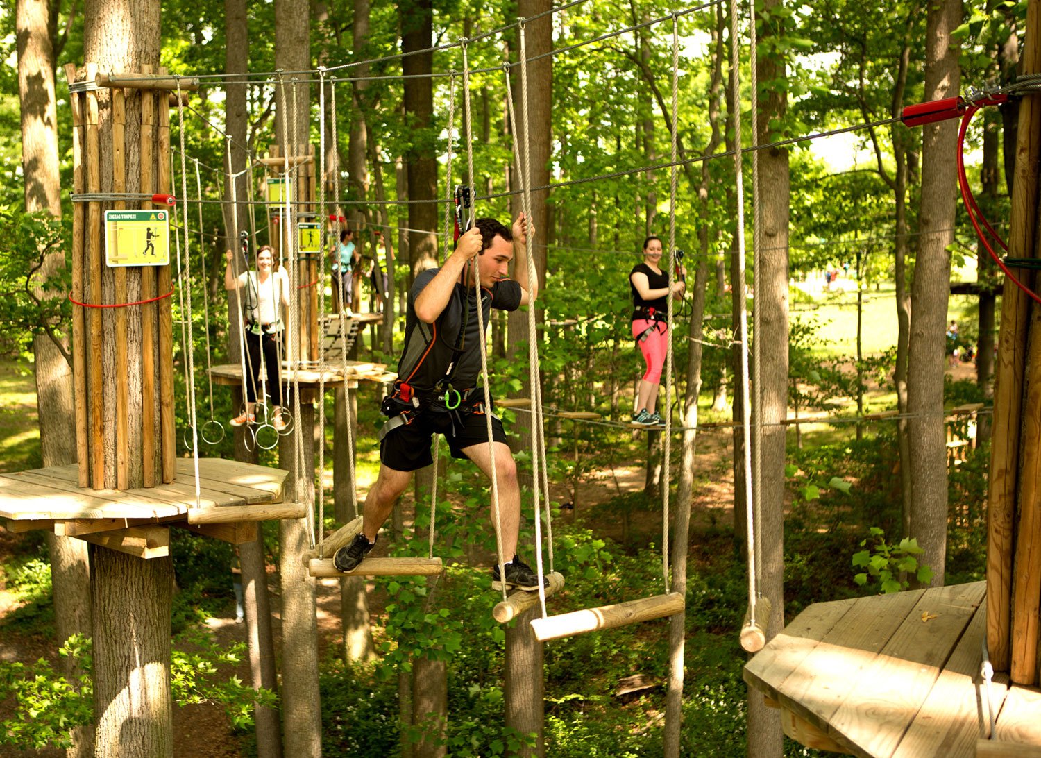 Go Ape Tree Top Adventure Course