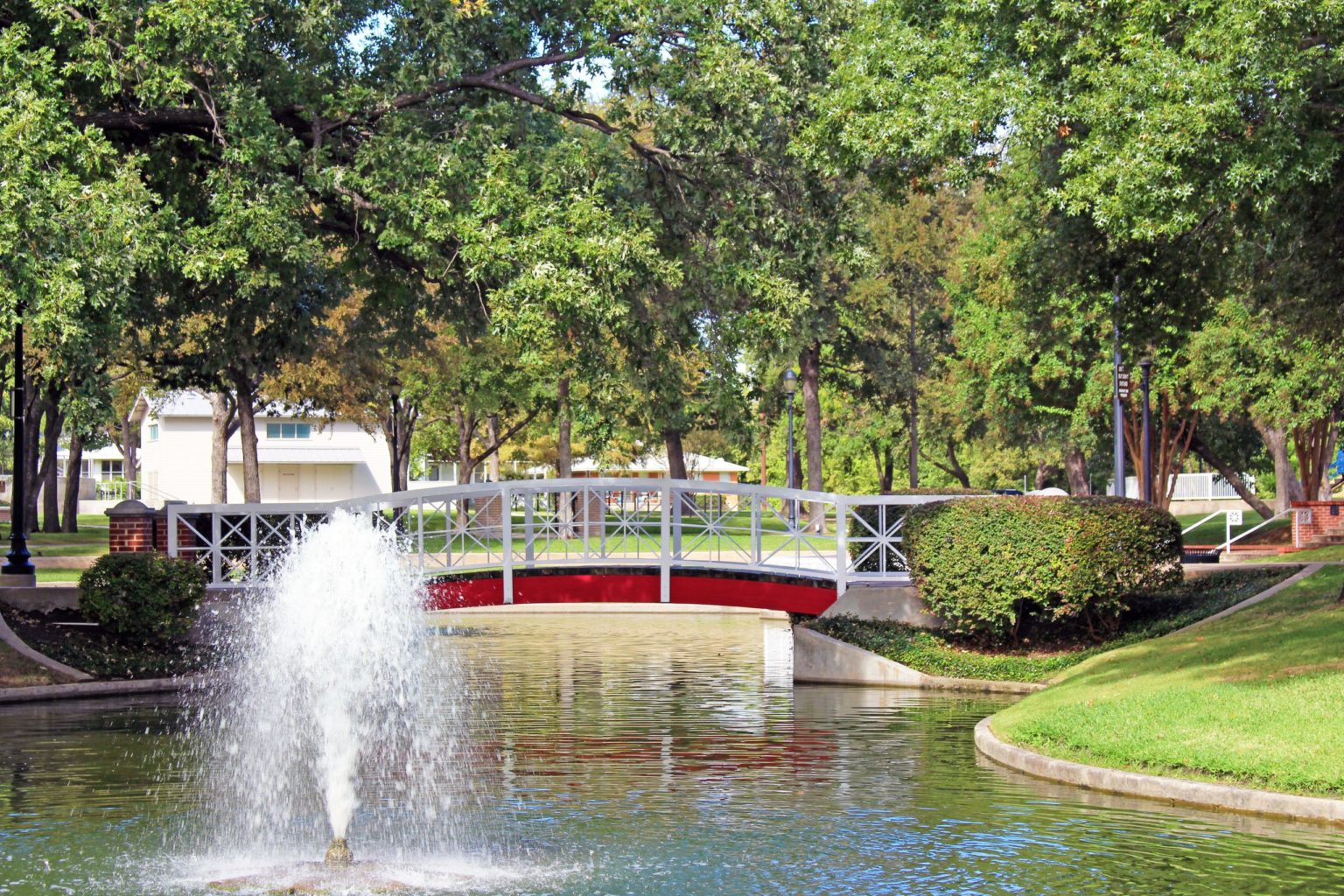 Take a Walk in a Plano Park Plano Insider