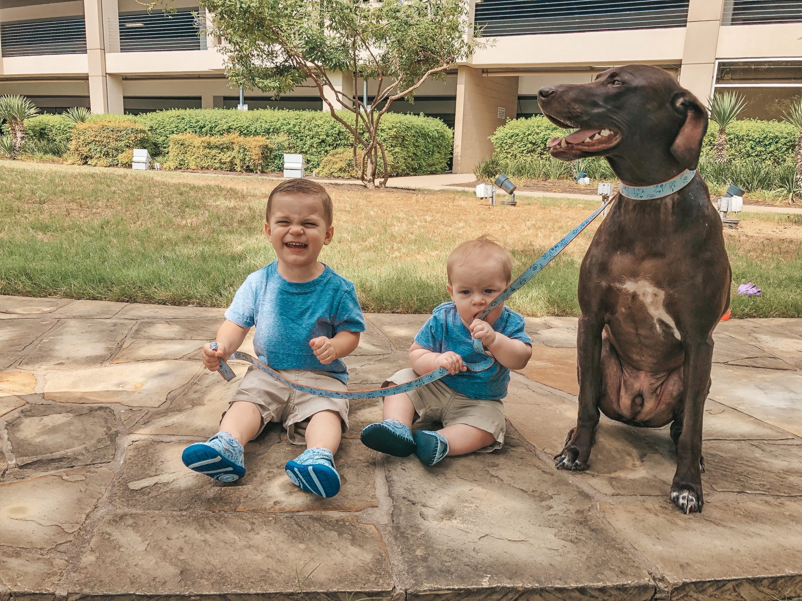 Kids and pup at Hilton Hotel