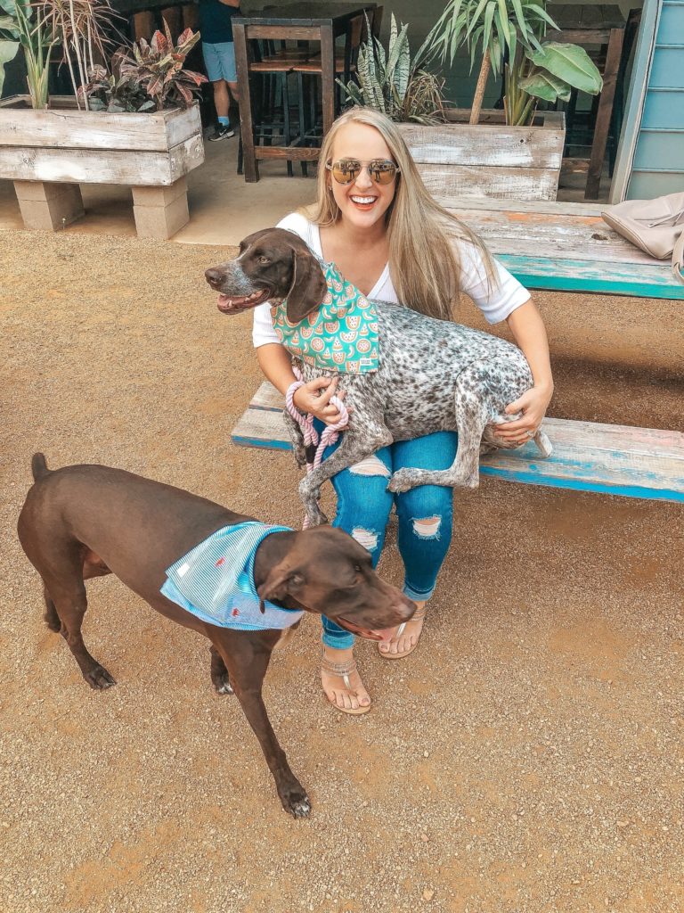 Plano PetFriendly Restaurant Patios Plano Insider