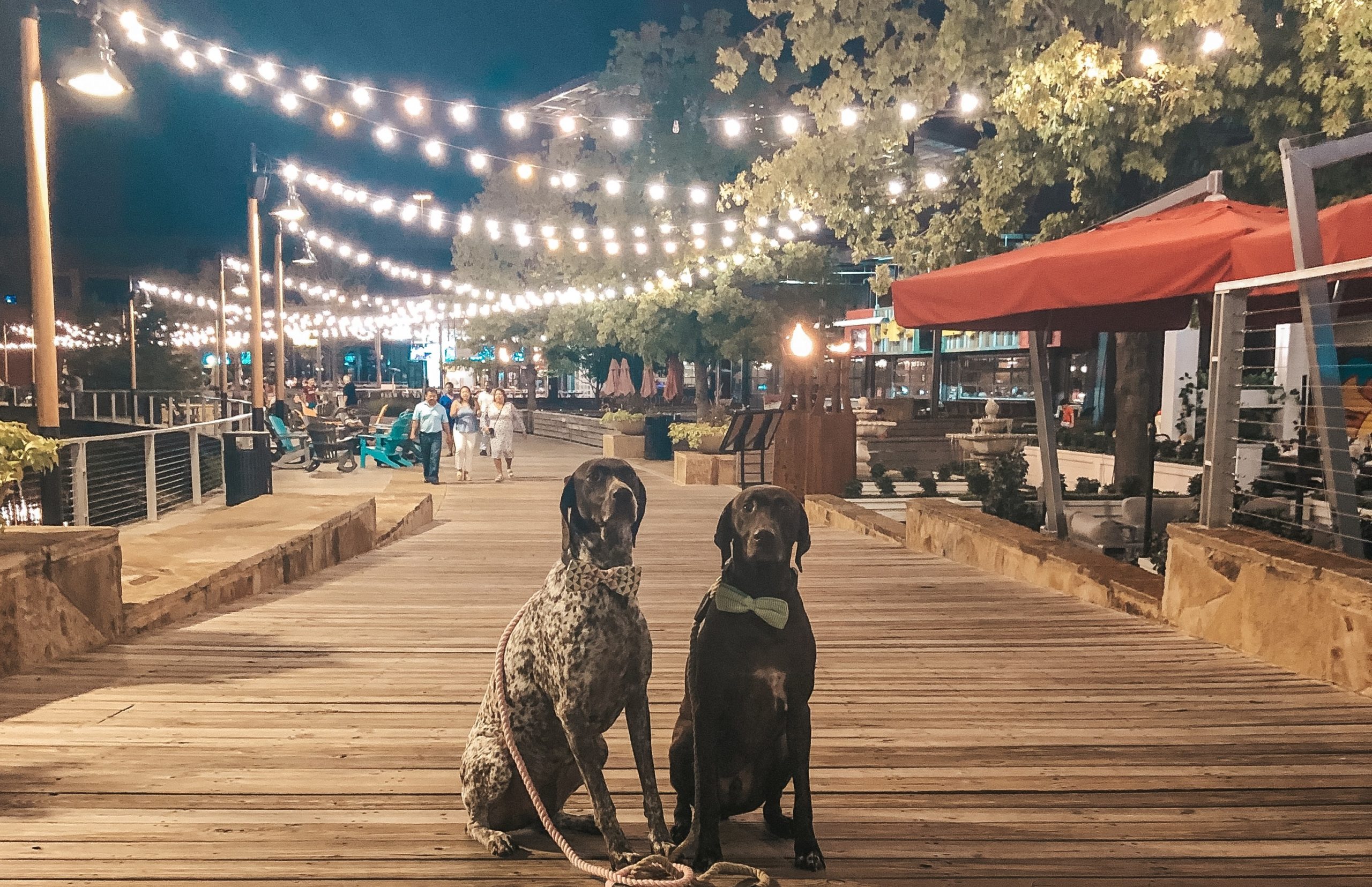 20 Top Things to Do in Plano - Credit Chelsea Evans; Gals Best Friend_Dogs at The Boardwalk