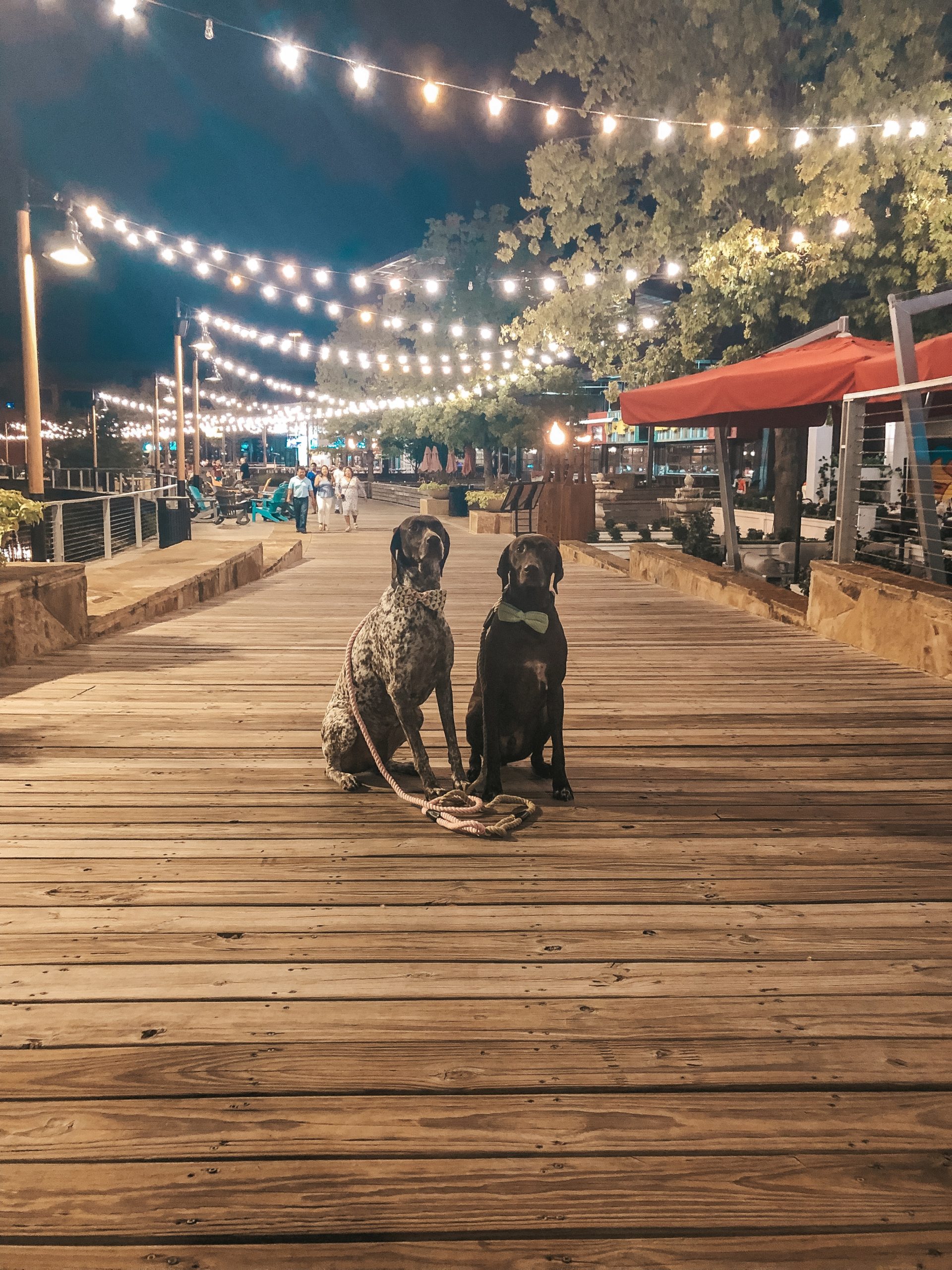 Pups at The Boardwalk