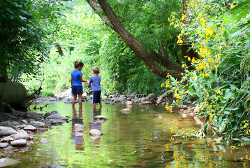 Kids Walking in a Creek Adobe Stock Photo