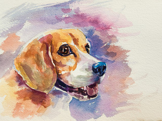 Paint A Dog Adobe Stock Photo