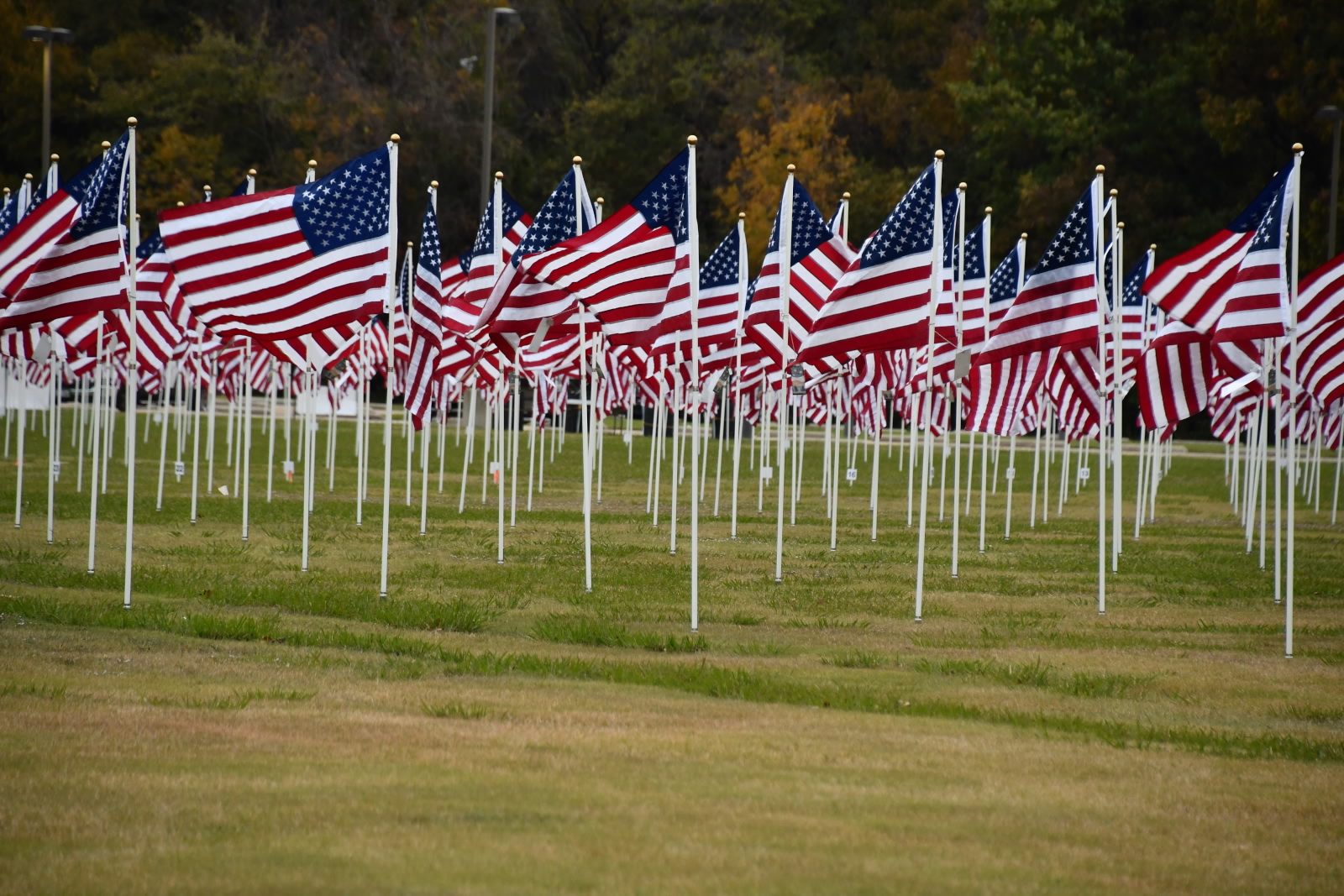 Plano Flags of Honor