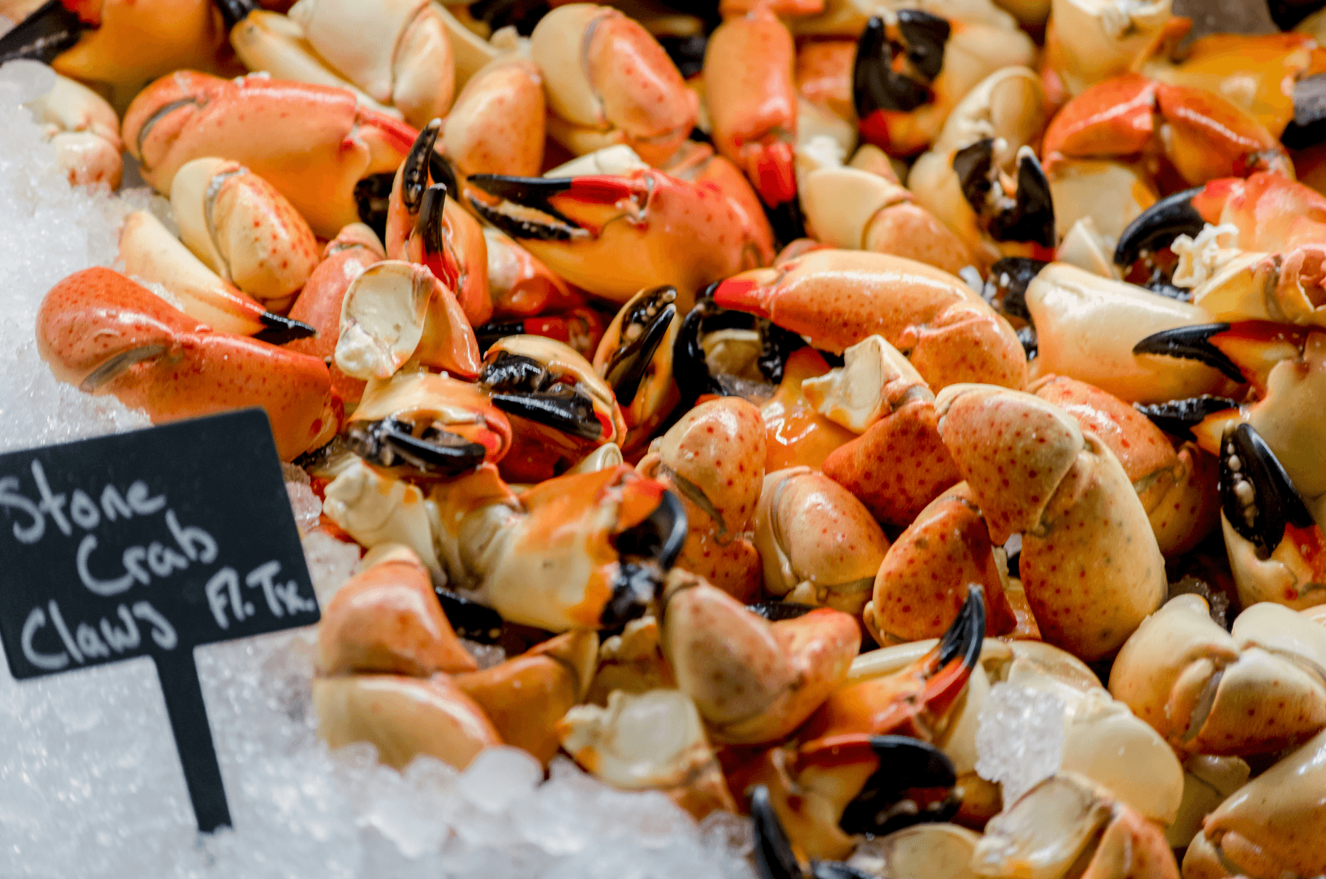 Stone Crab Claws at The Keeper Event in Plano
