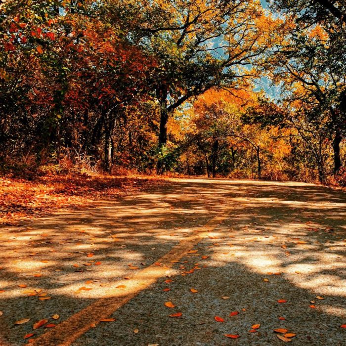 Arbor Hills in Plano fall foliage