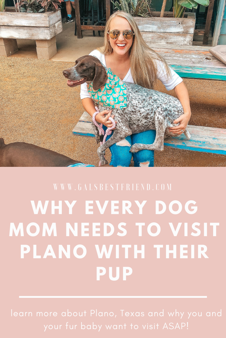 Pinterest Pin for pup friendly Plano
