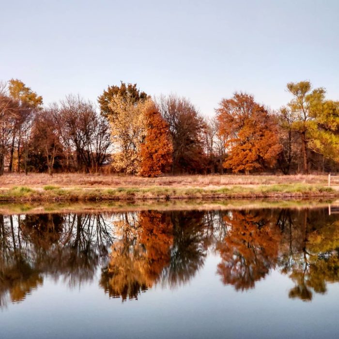 Oak Point Park in Plano fall foliage