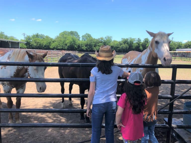 Southfork Ranch Trail Rides