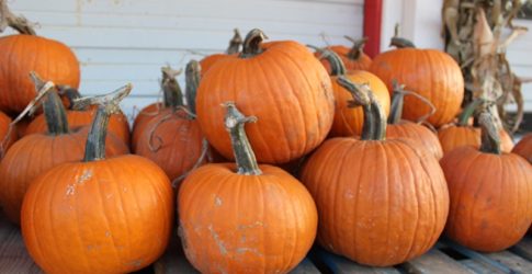 Image of Plano Fall Bucket List 2020