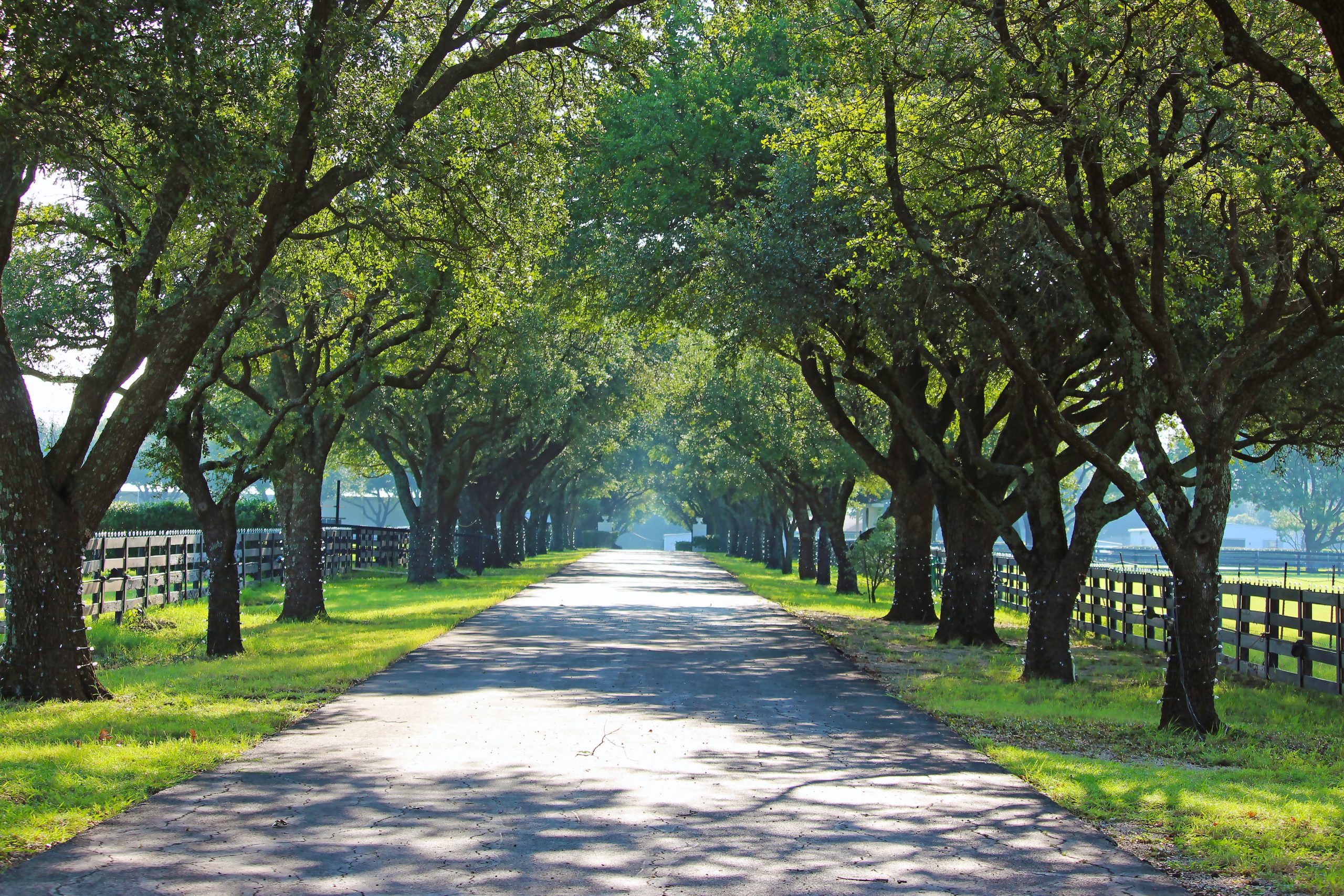 Southfork iconic driveway