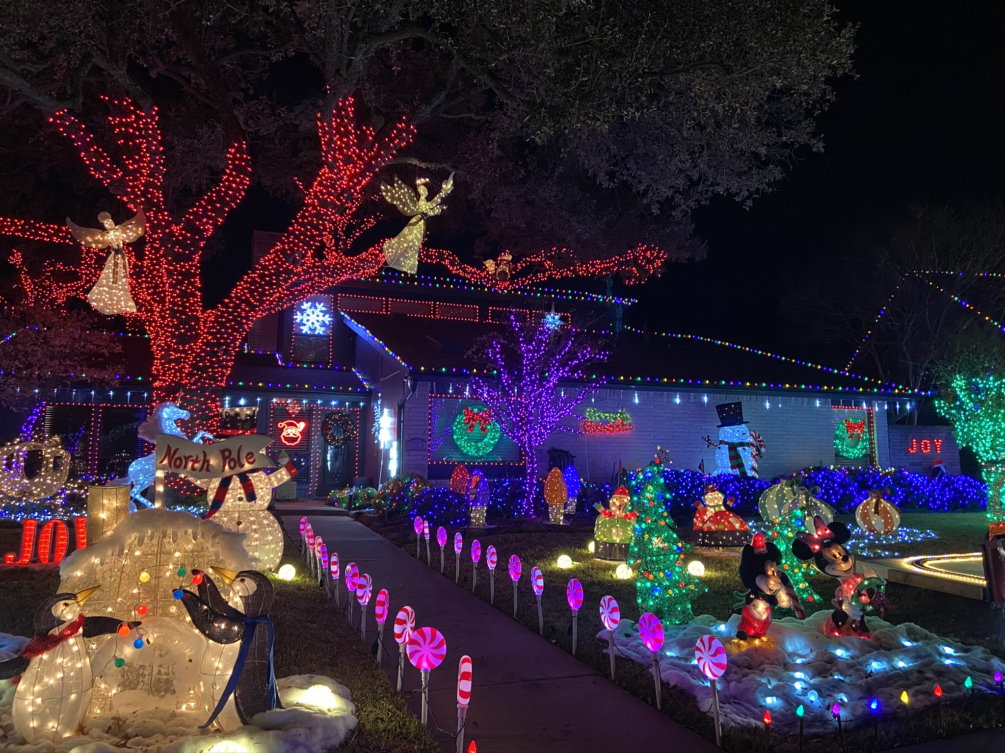 Six Things To Do in Plano During the Holiday Break 2020 | Plano Insider