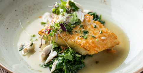 Where to Eat in Plano During DFW Restaurant Week 2026 Image of Where to Eat in Plano During DFW Restaurant Week 2026