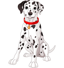 Dalmatian