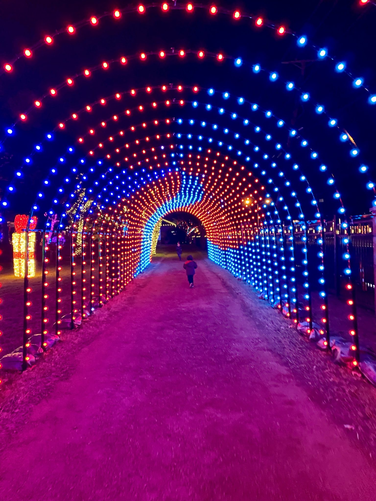 6 Must Do Activities Over the Holiday Break in Plano Plano Insider