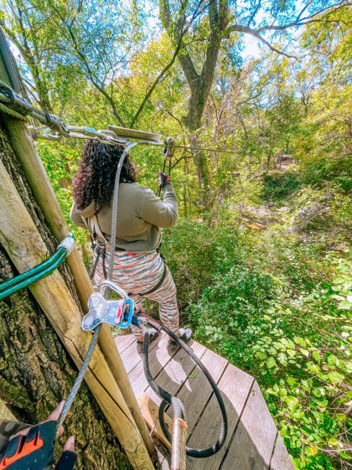 Laurin Curtis, The Life of Jo Jo blogger, at Go Ape in Plano