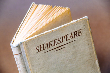 Book with Shakespeares Name Adobe Stock Photo