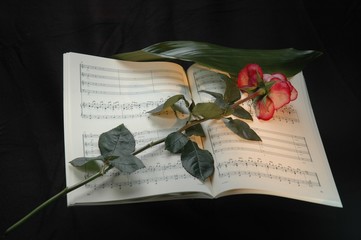 Mozart Requiem Adobe Stock Photo